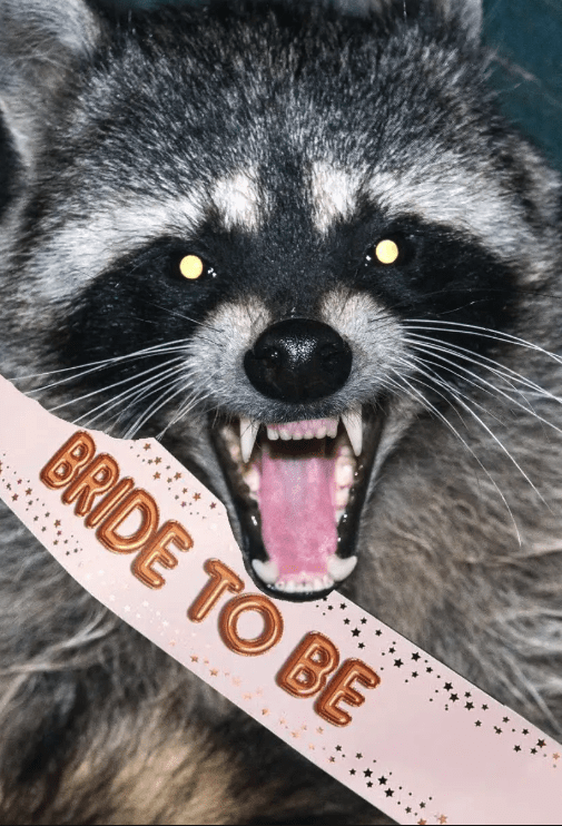 Feral Bachelor Party